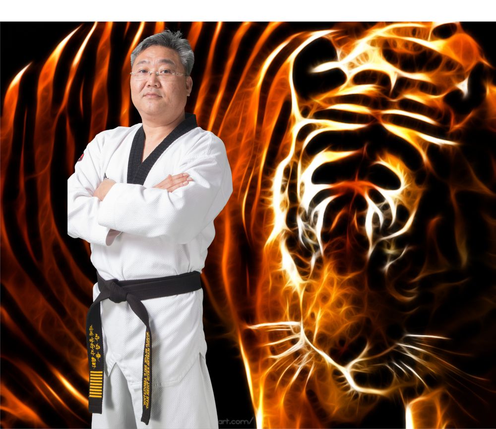 Tiger Bang's Martial Arts Academy Logo