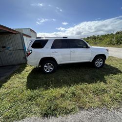 Coastal Custom Tint