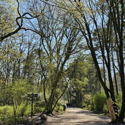 Stadtpark