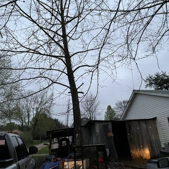 Murray Fellers - Tree Services Near Me - Ravenswood, West Virginia Murray Fellers - Tree Services Near Me - Ravenswood, West Virginia