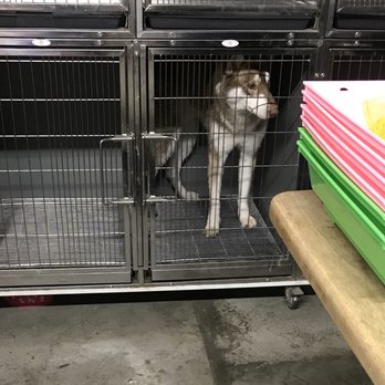 Pete's Pet Supply - Pet Stores Near Me - Los Angeles, California