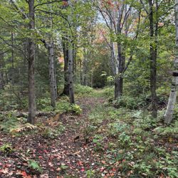Ahmeek Coppermine Camp - Trail