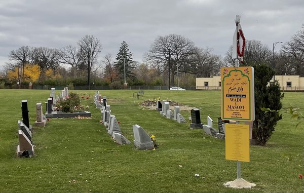 Bohemian National Cemetery by null