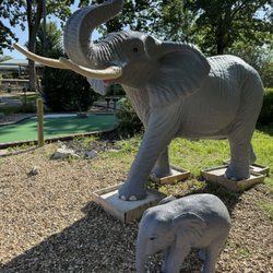 Elephants on the course!