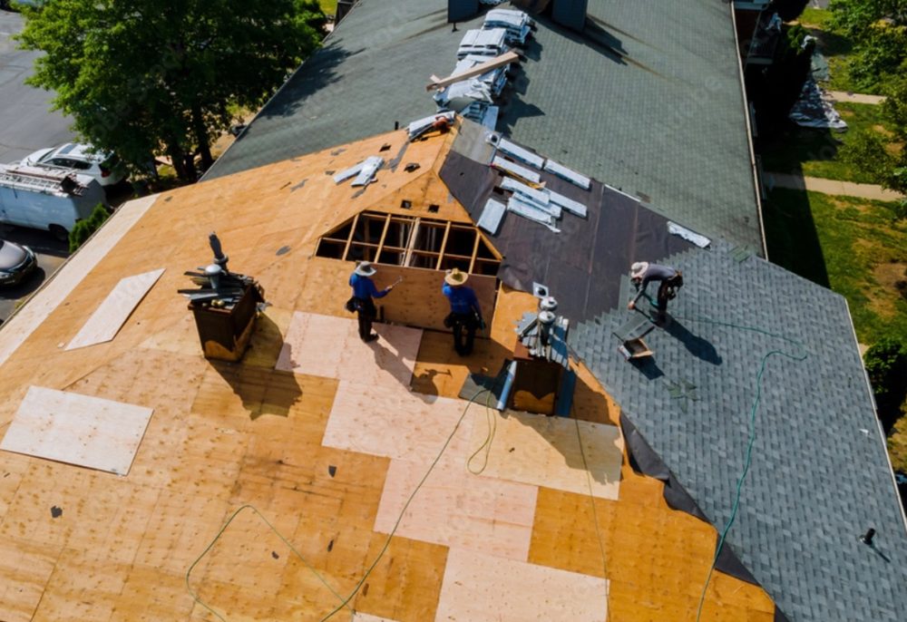 Slide of Hartley's & Co