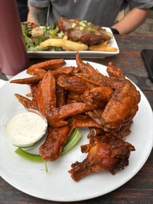 Kangaroo & Kiwi by null