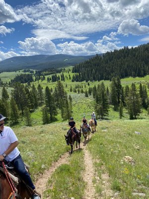 Jake's Horses Inc. by null