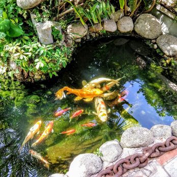 John’s Aquarium Service - Aquarium Services Near Me John’s Aquarium Service - Aquarium Services Near Me
