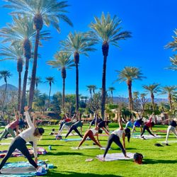 Yoga Central