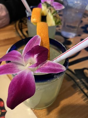Chapala Mexican Restaurant by null