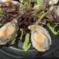 Kickin’ Inn - Oyster