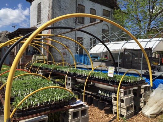 Garden Dreams Urban Farm & Nursery - Grow Pittsburgh by null