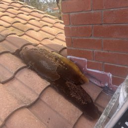 Beehive removed...