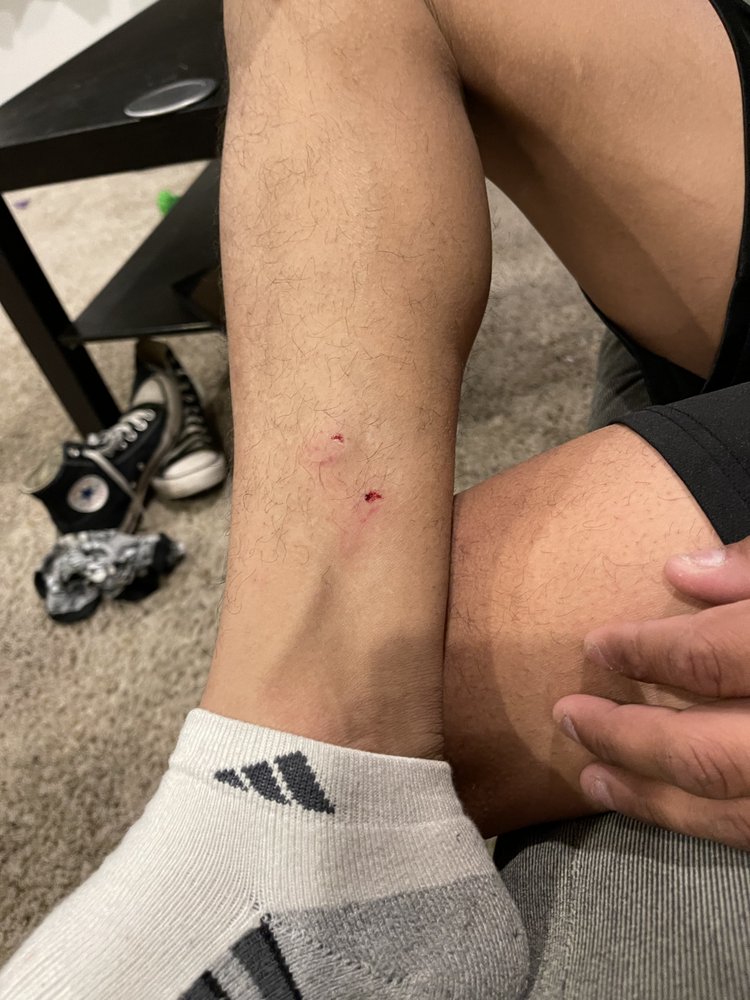 timpanogos soccer indoor