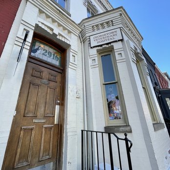 Georgetown Veterinary Hospital - Exterior - Veterinarians Near Me - Washington, DC, District of Columbia Georgetown Veterinary Hospital - Exterior - Veterinarians Near Me - Washington, DC, District of Columbia