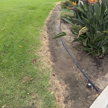 Property Advantage - Property Advantage sales pitch: Your grass disappears, our management fees don't. Now THAT'S property management! - Property Management Near Me - Carlsbad, California
