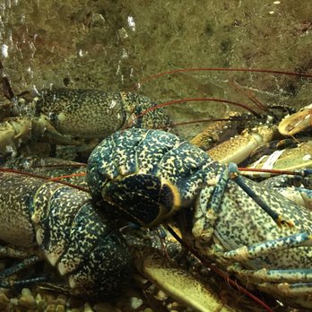 Sete Mares - Seafood Near Me - Lisbon, 11