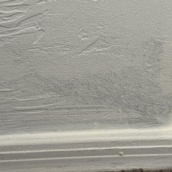 Lion Coat Painting - Painters Near Me