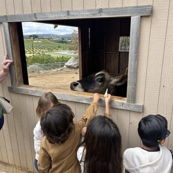 The Happy Heart Haven - Attraction Farms Near Me - Valley Center, California The Happy Heart Haven - Attraction Farms Near Me - Valley Center, California