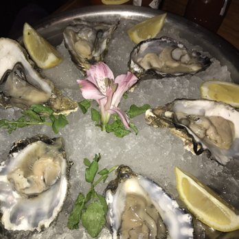 Harry's - Cocktail Bars Near Me - Playa del Carmen, ROO