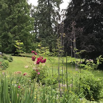 Lakewold Gardens - View from flower garden toward the lawn/lake - left side of house and garden - Botanical Gardens Near Me - Lakewood, Washington Lakewold Gardens - View from flower garden toward the lawn/lake - left side of house and garden - Botanical Gardens Near Me - Lakewood, Washington