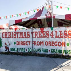 Christmas Trees 4 Less