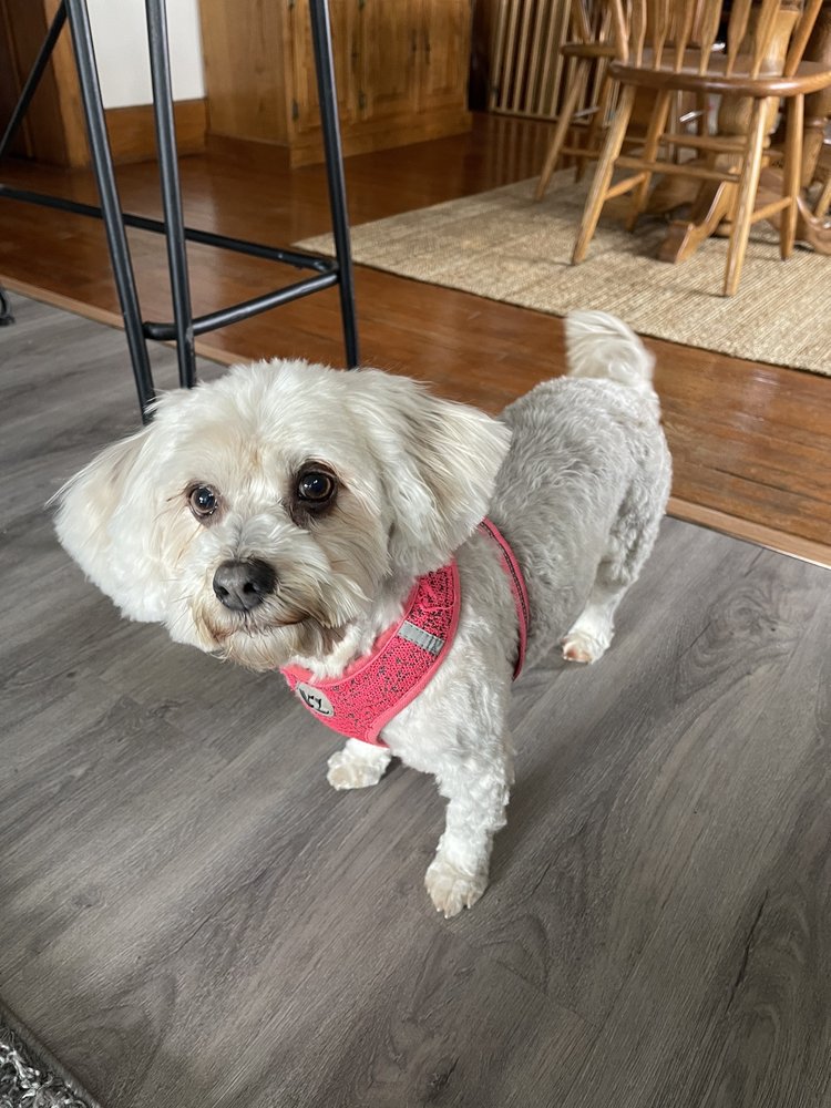 FREMONT DOG LODGE Updated September 2024 4670 East State Road 120