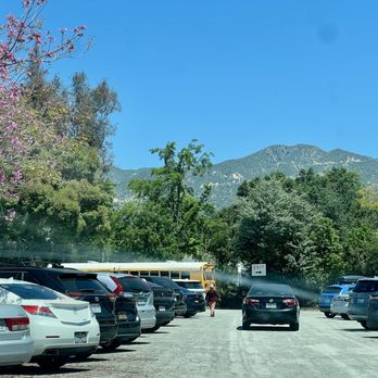 Descanso Gardens - Trees in the parking lot (5.9.25) - Botanical Gardens Near Me - La Canada Flintridge, California Descanso Gardens - Trees in the parking lot (5.9.25) - Botanical Gardens Near Me - La Canada Flintridge, California