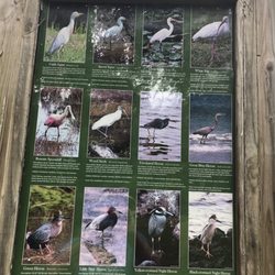 Egans Creek Greenway