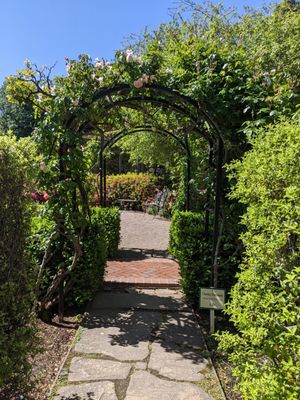 Cafe Wisteria by null