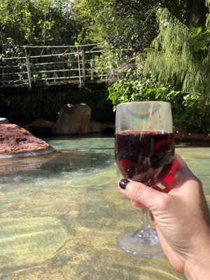 The Lost Spring by null