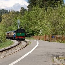 Train à Vapeur des Cévennes - Arrivée en gare de la Bambouseraie
