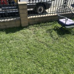 They removed the grass this section of the grass and it looks the same with no mess . They removed the grass this section of the grass and it looks the same with no mess .