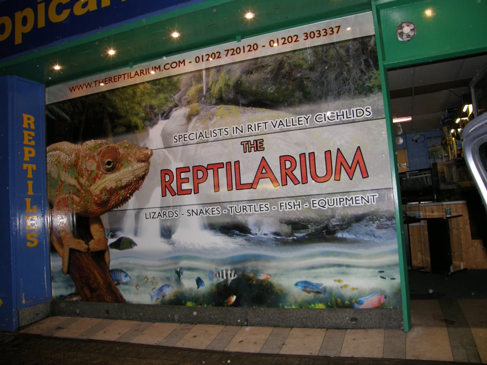 THE REPTILARIUM Updated April 2024 519 Christchurch Road