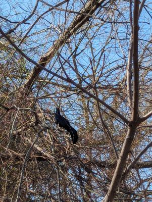 Bethany Lakes Park by null