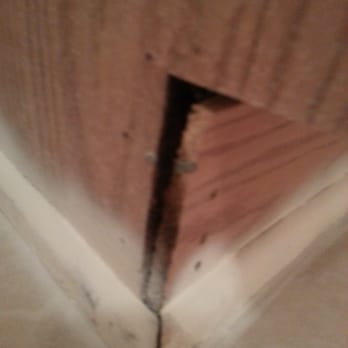 Pointe South Apartments - Mold in the floorboards of the guest bathroom after being spraypainted today. - Apartments Near Me - Wilmington, North Carolina Pointe South Apartments - Mold in the floorboards of the guest bathroom after being spraypainted today. - Apartments Near Me - Wilmington, North Carolina