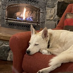 Dreaming about his training walk Dreaming about his training walk