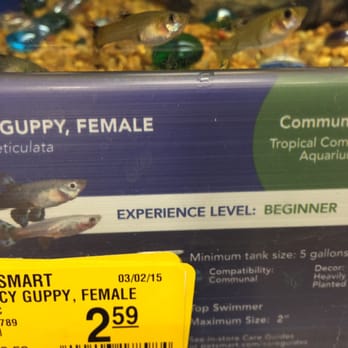 PetSmart - Fish - Pet Groomers Near Me - Mt Prospect, Illinois