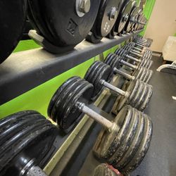 Slym Gym Fitness