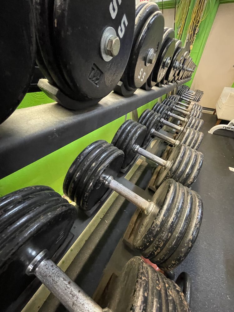 Slym Gym Fitness Logo