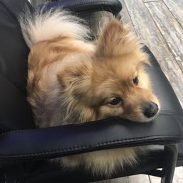 Bandit!