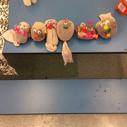 Studio Art - Kids project with chia pet
