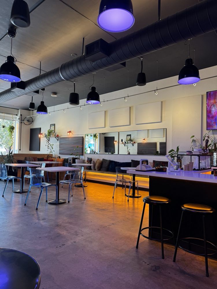 Skoden Coffee At Central Records Logo