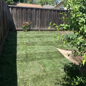 Vineyard Landscape and Maintenance - After - Landscaping Near Me Vineyard Landscape and Maintenance - After - Landscaping Near Me