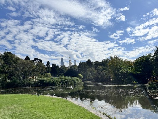Royal Botanic Gardens Victoria - Melbourne Gardens by null