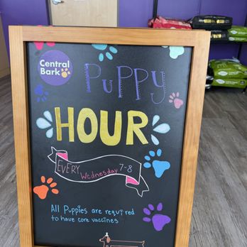 Central Bark Aurora Fox Valley - Free puppy playtime every Wednesday evening! - Pet Boarding Near Me - Aurora, Illinois