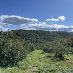 Hartland Farm and Orchard