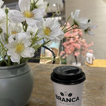 Branca Cafe - Cafes Near Me - Miami, Florida