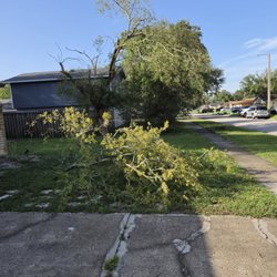 E Zee Tree Service