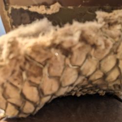 West Coast Duct Cleaning - This is the roof dryer vent goose neck animal protection screen blocked. No air would leave the dryer clothes would dry.